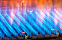Backaland gas fired boilers